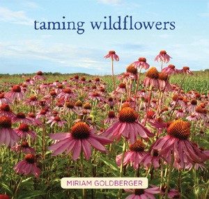 Taming Wildflowers