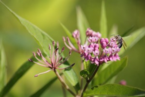 IMG_9916